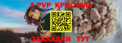 амф Донской