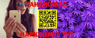 СК Дубна