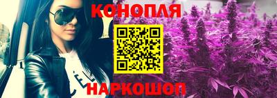 амф Донской