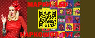 амф Донской