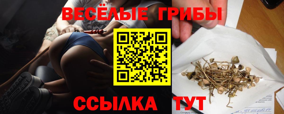 Нижний Новгород  Галлюциногенные грибы Cubensis  цены   Вход с VPN 